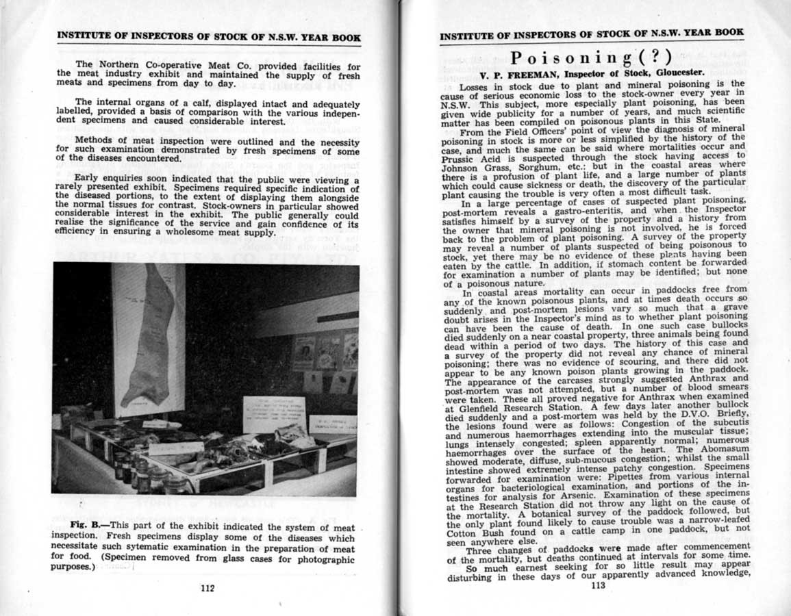 1951 Page 112 113